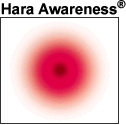 Hara Awareness - die Kraft aus der Mitte